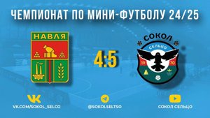 "Навля" (Навлинский район) — "Сокол" (Сельцо) 24.11.24 обзор матча