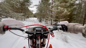 Покатушки по лесу на Эндуро // Это Зима или Осень какая-то // FXMOTO CB300F