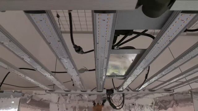 480W+240W R2T dual channel Samsung lm301H led grow light bar quickly review