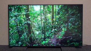 LG NanoCell 55NANO916NA полный комплект
