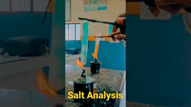 Salt Analysis.. #chemistry #study #thestudystuffin смотреть онлайн