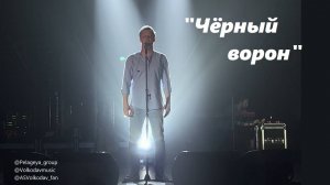 "Чёрный ворон" - Александр Волкодав и гр. "Пелагея", Волгоград  #группапелагея #александрволкодав