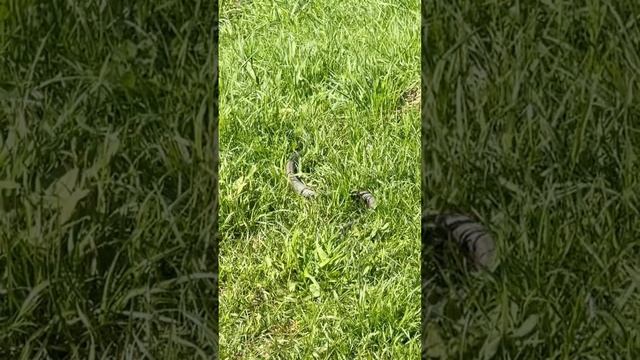 😁🤩😎 смотреть онлайн