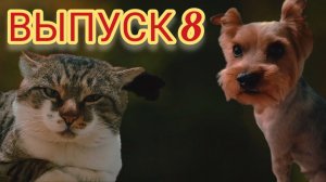 "Несколько жизней одновременно, или молчание в тренде". (ВЫПУСК 8)