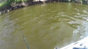 Рыбалка на Оке конец Августа 2024.Троллинг в два спиннинга