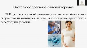 Экстракорпоральное оплодотворение (ЭКО)