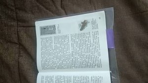 История 5 класс 4 параграф