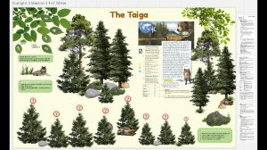 Создание учебного материала для уроков иностранного языка на интерактивной доске Miro