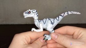 АТРОЦИРАПТОР ІЗ МИРА ЮРСКОГО ПЕРИОДА 3 ГОСПОДСТВО