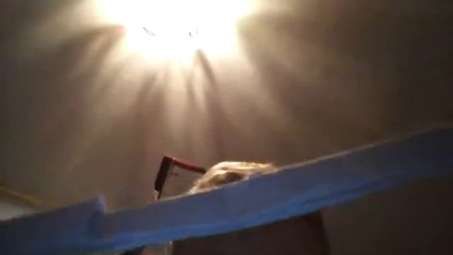 Маё оружие из бумаги смотреть онлайн