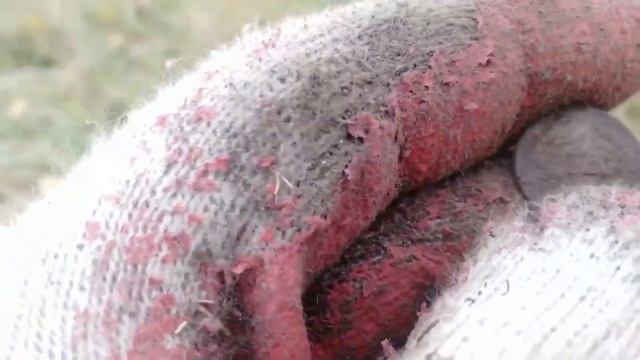 Серебро, серебро и снова серебро/поиск монет с металлоискателем. #9 смотреть онлайн