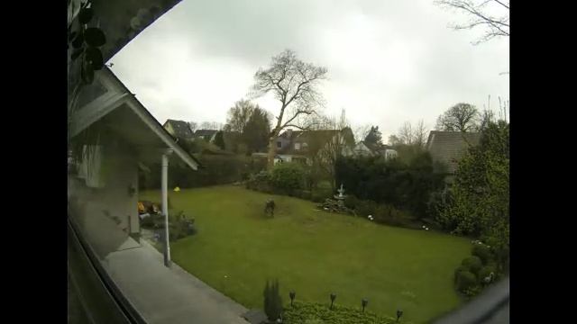 Trompetenbaum Rigging im Zeitraffer смотреть онлайн