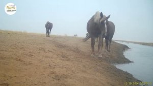 Приоткрывая заповедные двери… Вечные ценности