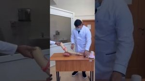 "Порядок наложения кровоостанавливающего жгута при кровотечении в области предплечья" ОСКЭ