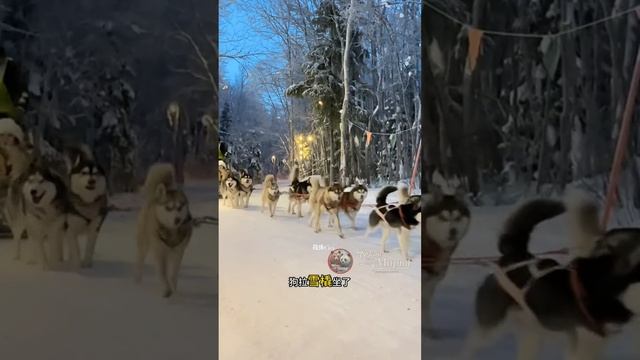 В китайских соцсетях завирусилось видео с идеальной программой зимнего путешествия по России.