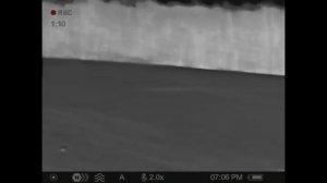 Pulsar Axion 2 XQ35 Pro (Red Fox & Owl)