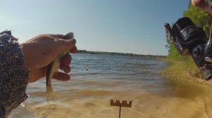 Фидер в шторм .Мою плотву у берега схватила щука,