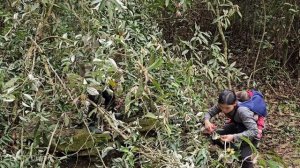 Single mother: I gets chased out of the house by a mysterious women. Who is she? Ly Thi Duyen