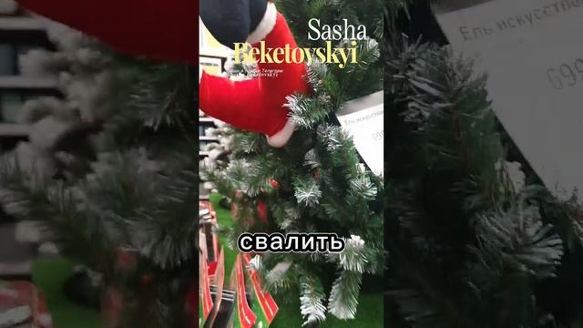 Всегда на страже