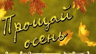 Прощай осень!