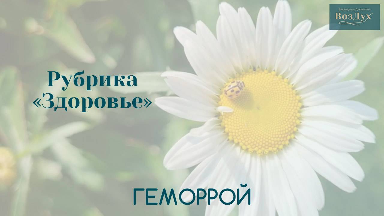 Геморрой | Здоровье | Психосоматика