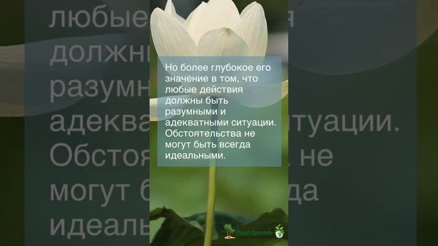 Главный принцип аюрведы #аюрведа #психология #женскиепрактики #yoga #медитация  #философия #веды