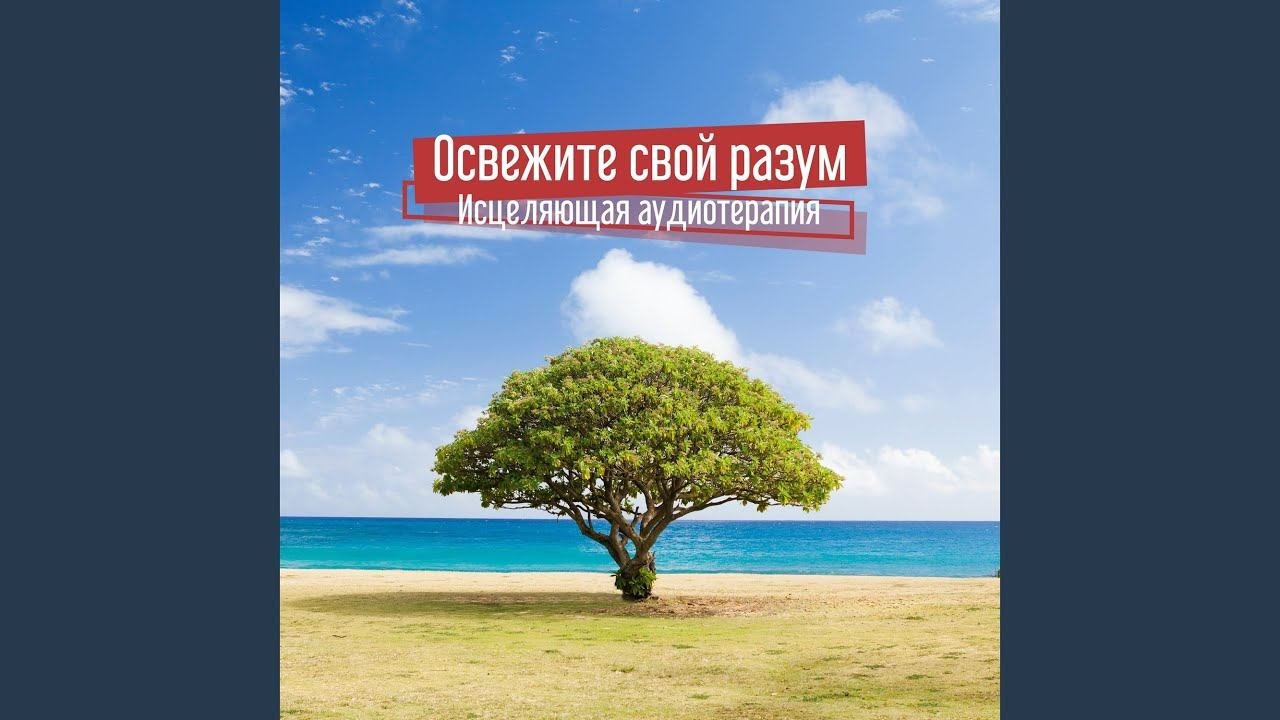 Oсведомленность