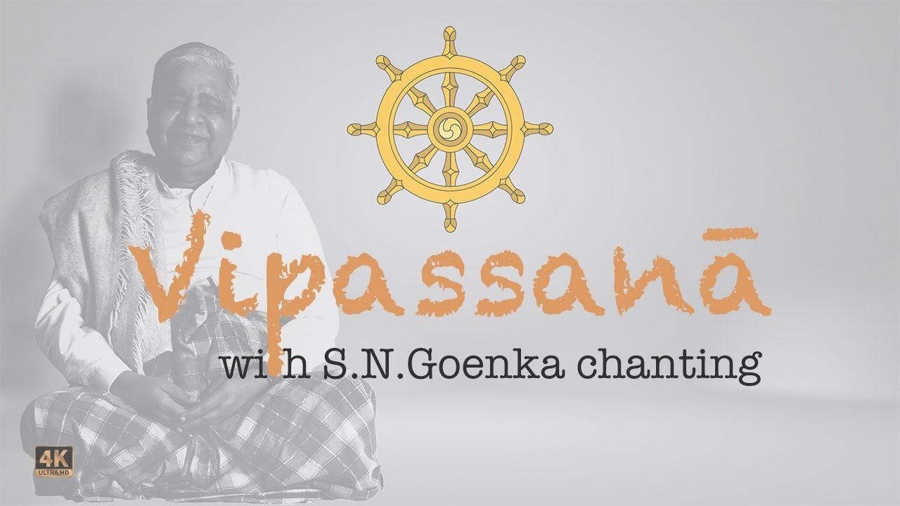 Vipassana Meditation Guide (20 Minutes)