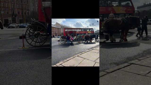 Красоты Питера #питер #travel #санктпетербург #music #люблюпитер #top #прогулка
