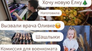 ВЫЗВАЛИ ВРАЧА ОЛИВКЕ🤒/КОМИССИЯ ДЛЯ ВОЕНКОМАТА/ШАШЛЫКИ/ХОЧУ НОВУЮ ЕЛКУ🎄/ НАГОТОВИЛА