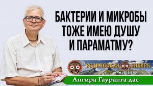 Бактерии и микробы тоже имею Душу и Параматму?