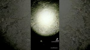 SOFIRN SP35T 3800 LUMENS MODE😊