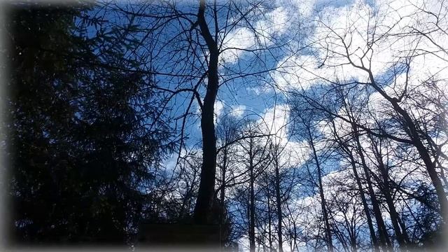 Ахремовская библиотека - "По местам родного края" смотреть онлайн