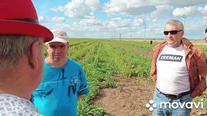 Соль-Илецк. Арбузный ликбез. Бахча и не только. Часть пятая.