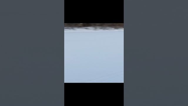 1000015628.mp4