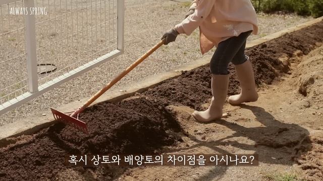 무시무시한 억새 제거하고 18m 울타리 나무 심기/ 에메랄드그린 식재 간격/상토와 배양토의 차이점/셀프 정원만들기/전원주택 울타리
