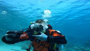 Вентильный цикл. Valve drill