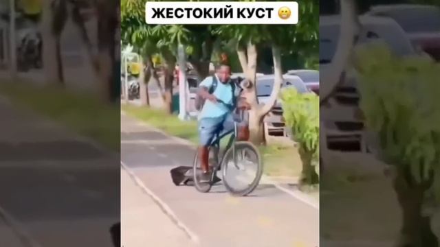 Жестокий куст🤣😂