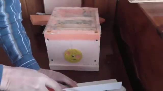 Микро нуклеус своими руками/The micronucleus