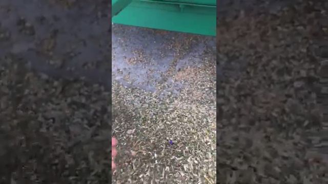 Зерноочиститель мзк 70 м смотреть онлайн