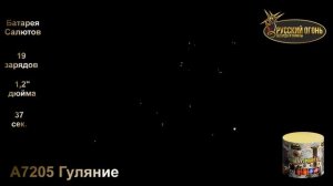 А7205 Гуляние, ТМ "Русский Огонь", батарея салютов 19 зарядов, калибр 30 мм, www.r-fire.ru