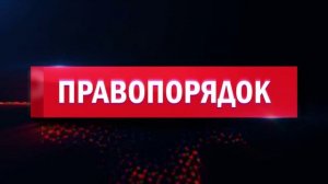 Выпуск программы "Правопорядок" от 25.11.2024