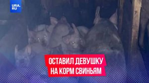 17-летнюю девушку из Красноярского края, которую якобы загрызли свиньи, возможно, убили