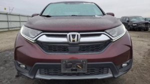 7FARW1H81KE019879 Water/flood