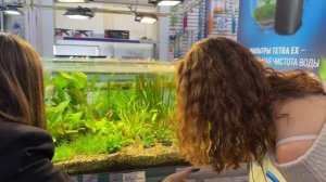 ВЫБИРАЮ СВОЙ ПЕРВЫЙ КОТАРИУМ (АКВАРИУМ)