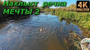 Нахлыст. Речка мечты от "рассвета" и до ямы...