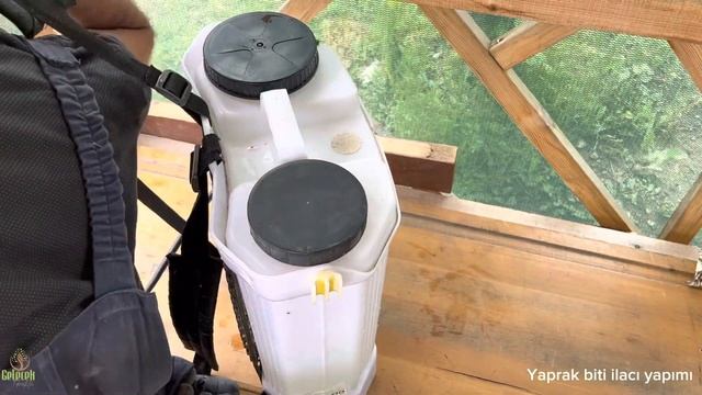 yaprak bitlerinden kurtulmak için tek ihtiyacınız yeşil soğan %100 etkili