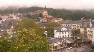 Овощи в микроволновке: можно ли готовить без вреда здоровью