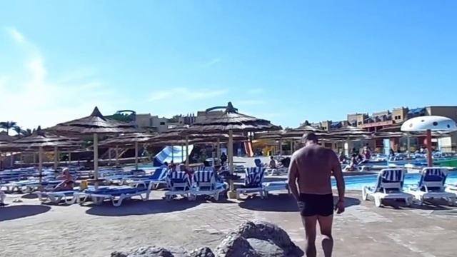 Как разводят гиды туристов в Египте 2024… #египет #шармельшейх #красноеморе #хургада