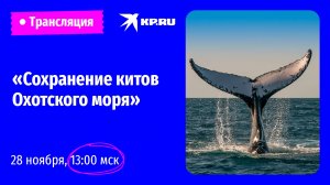 Сохранение китов Охотского моря